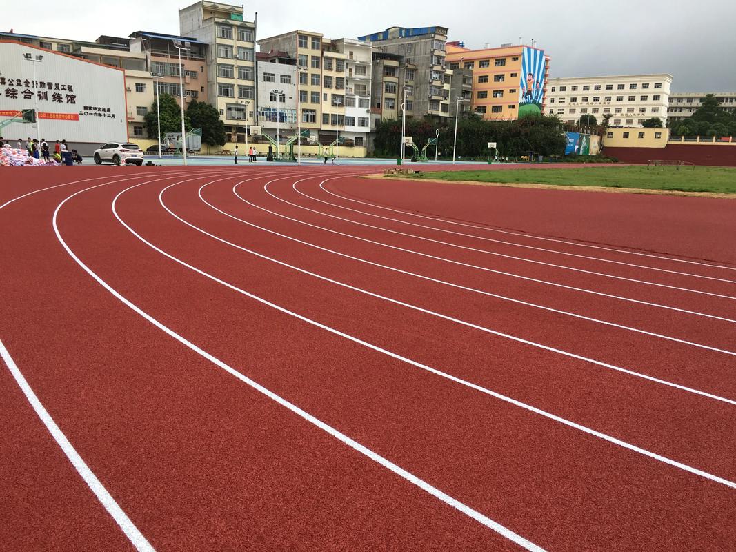 鸡西市学校塑胶跑道塑胶跑道材料 - 价格